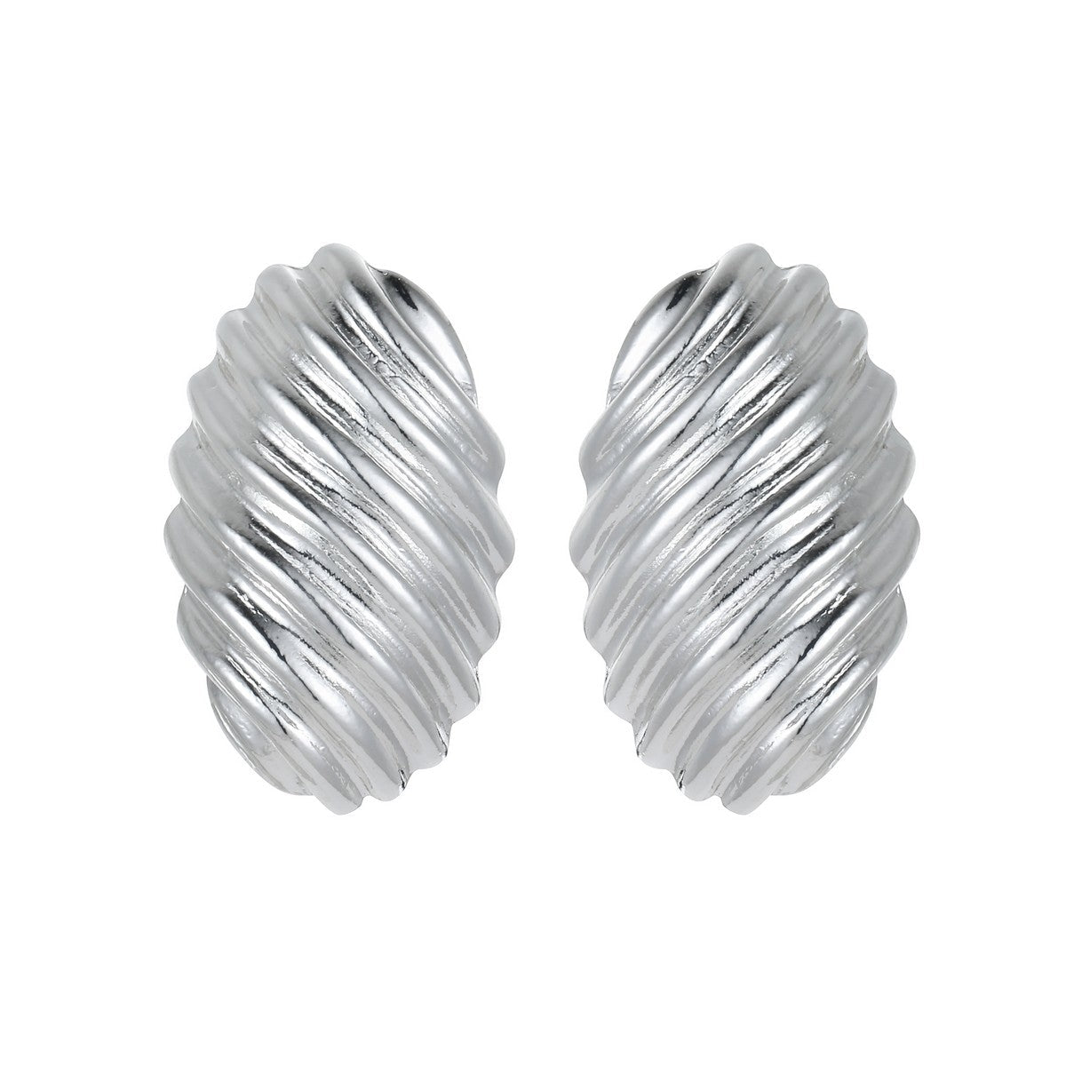 Silvery Ridge Shell Design Earrings YT22812SLR